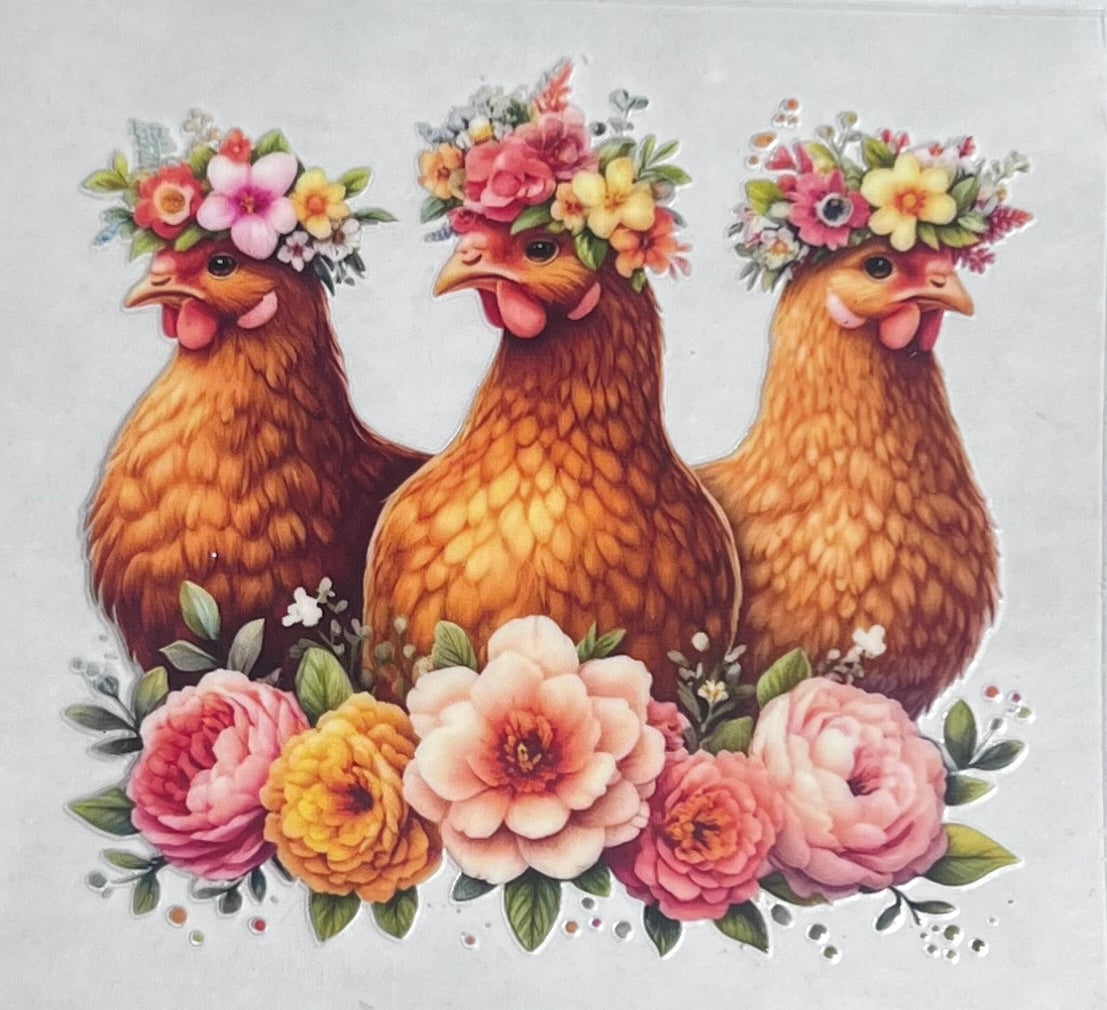 Animals