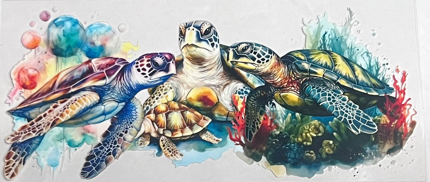 Animals