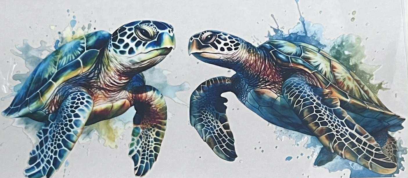 Animals