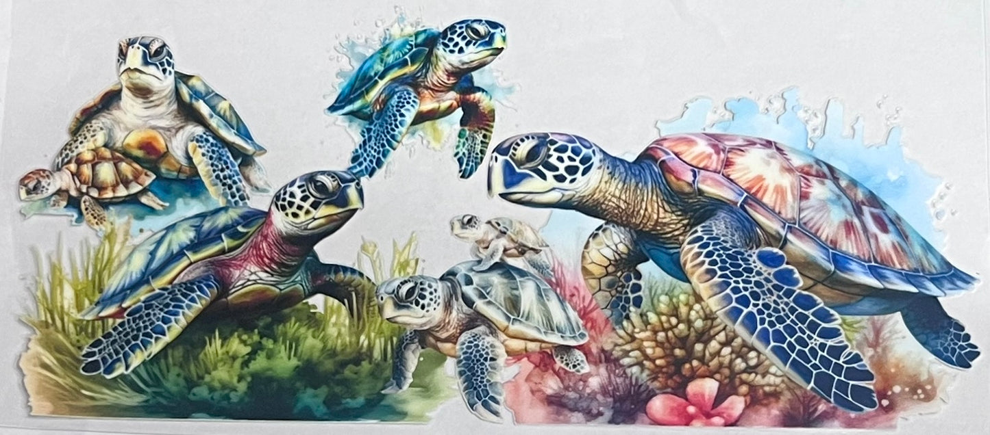Animals