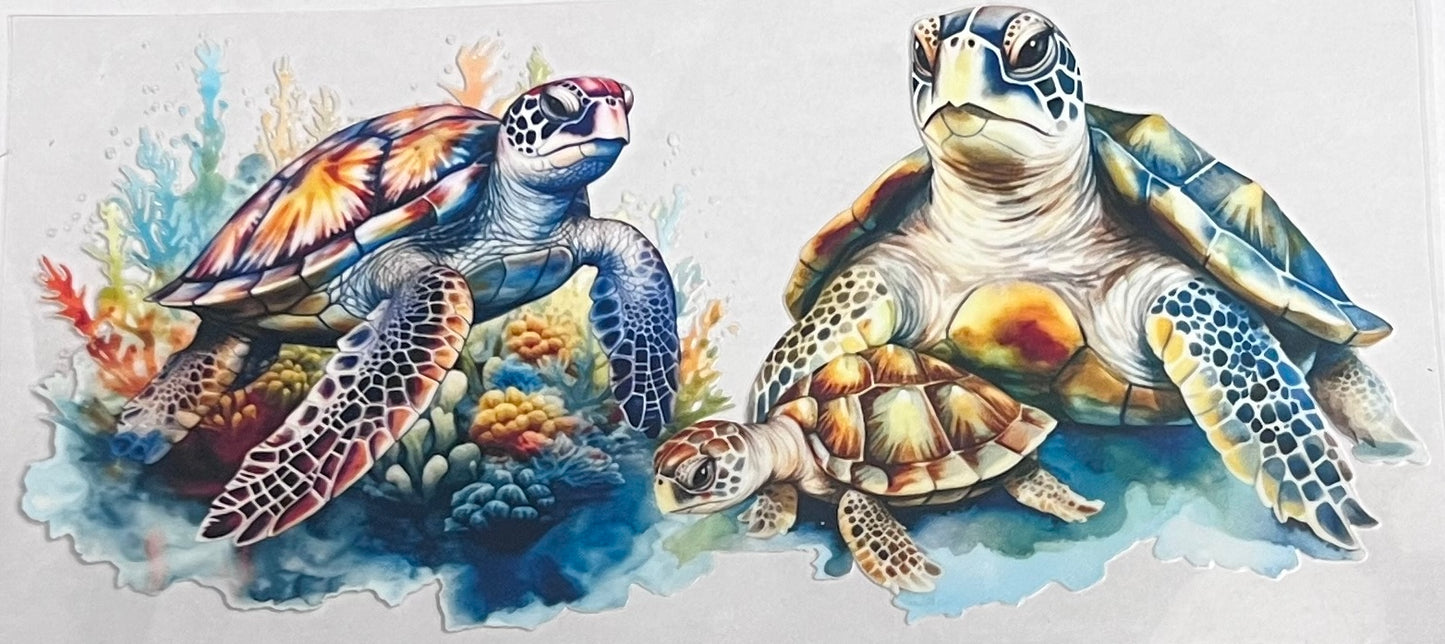 Animals