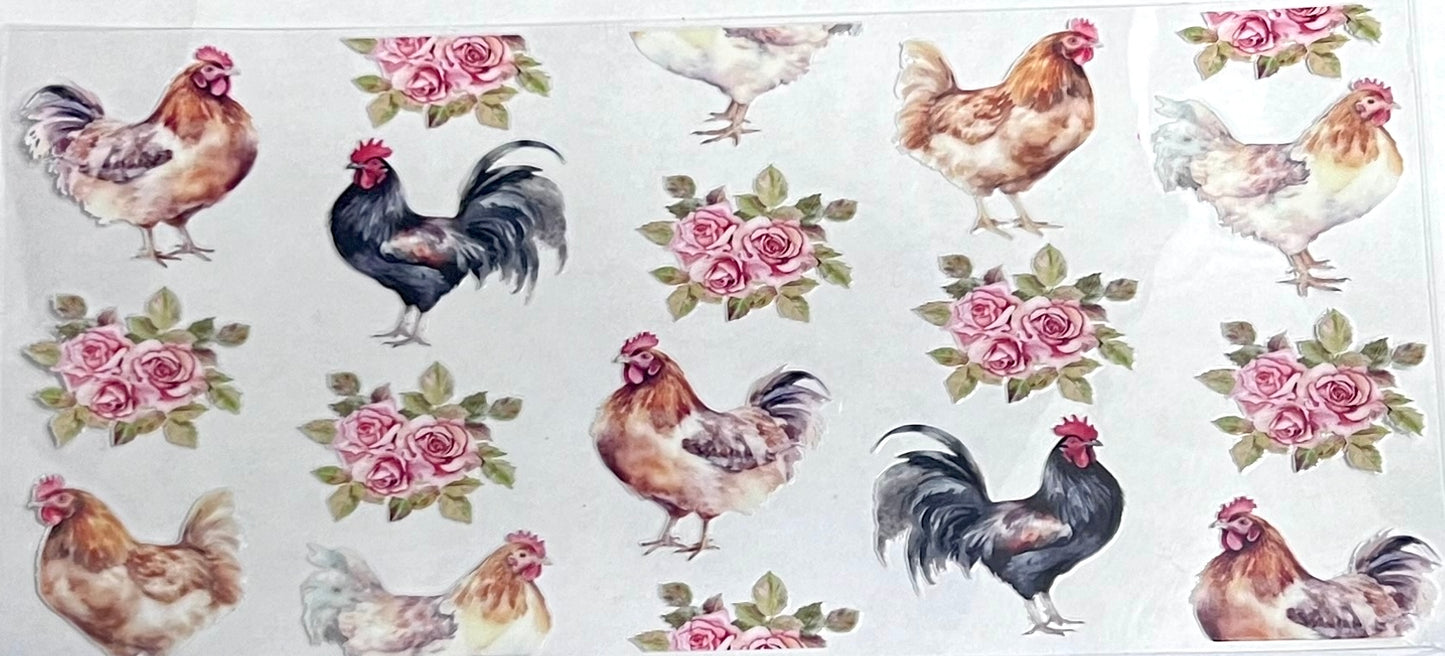 Animals