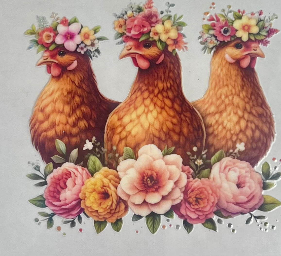 Animals