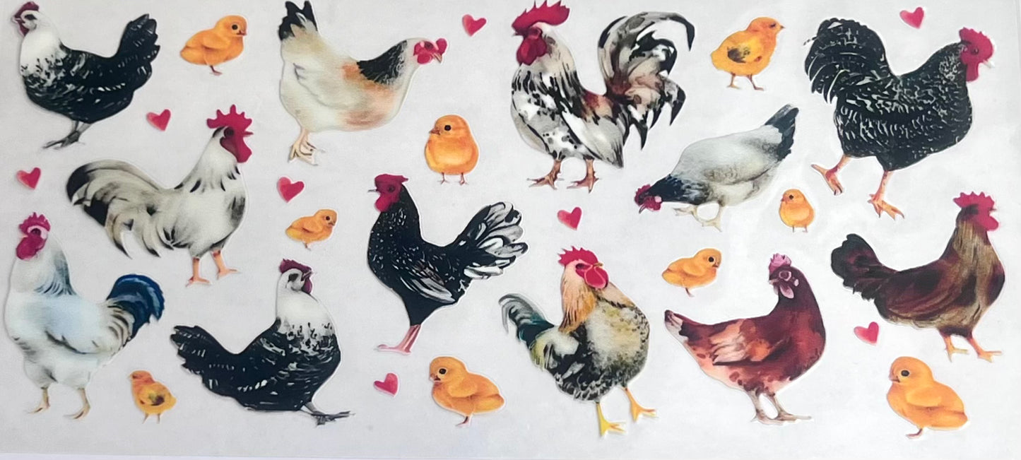 Animals