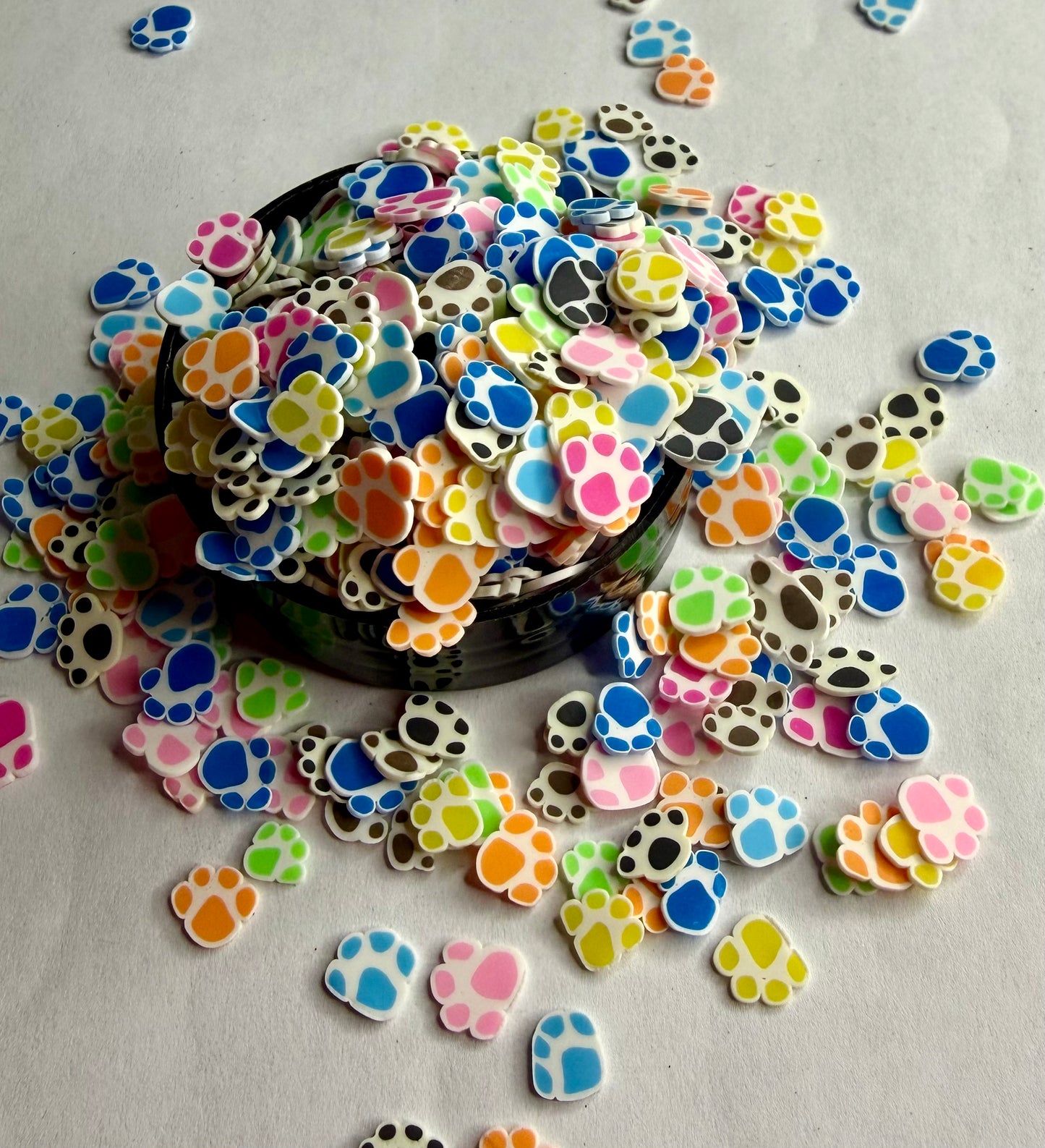Multi Color Paws