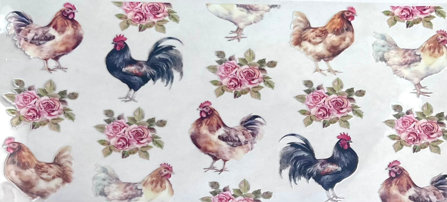 Animals