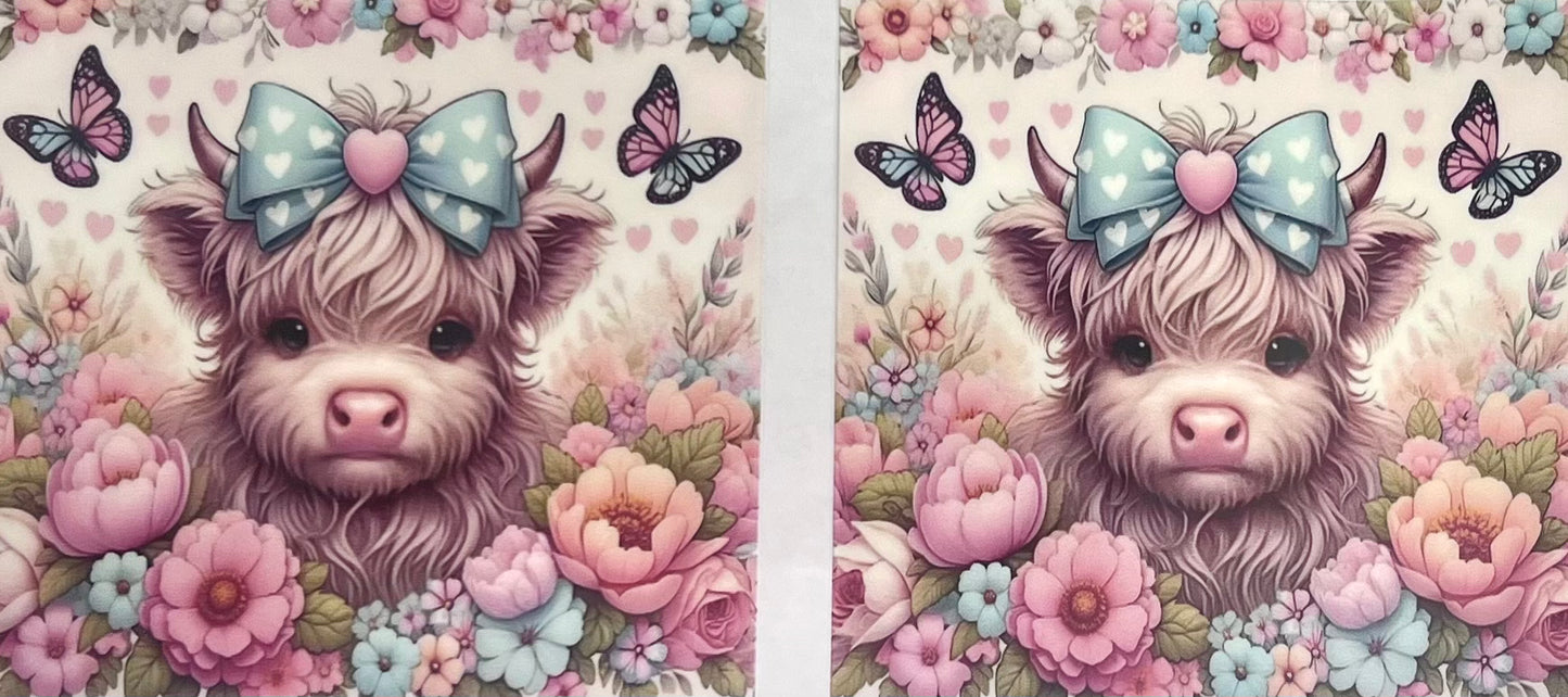 Animals